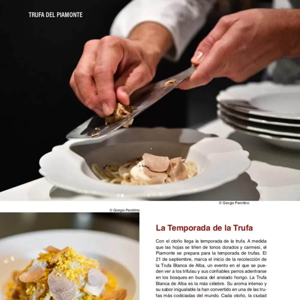 Tartufo, aroma del Piemonte - Traveling Gourmet - Madrid